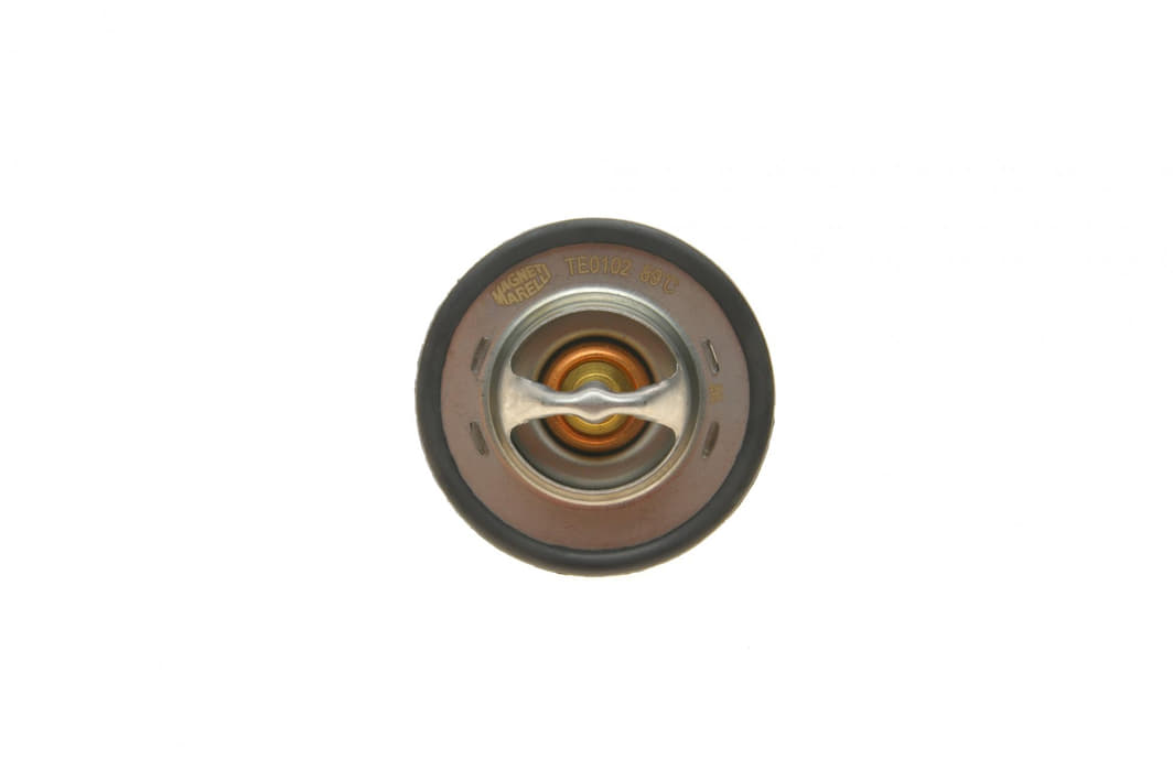 352317101020 MAGNETI MARELLI